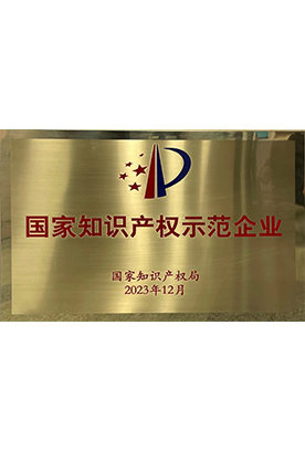 国家知识产权示范企业